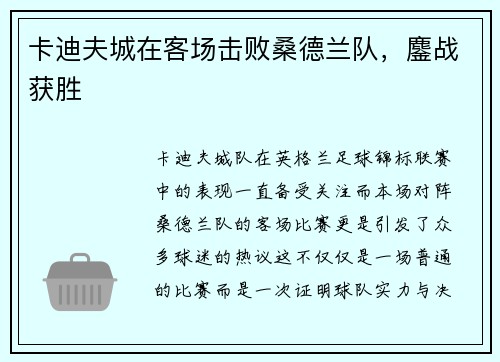 卡迪夫城在客场击败桑德兰队，鏖战获胜